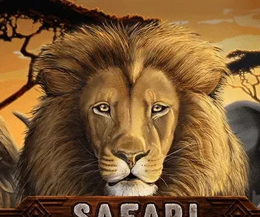Safari Slot Review