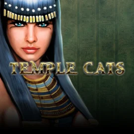Temple Cats Slot Review